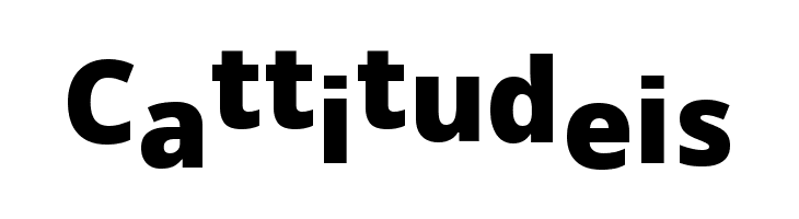 WLM Idea Play  Free Fonts Download