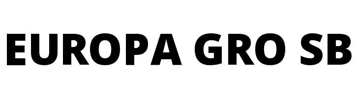 WLM Black  Free Fonts Download