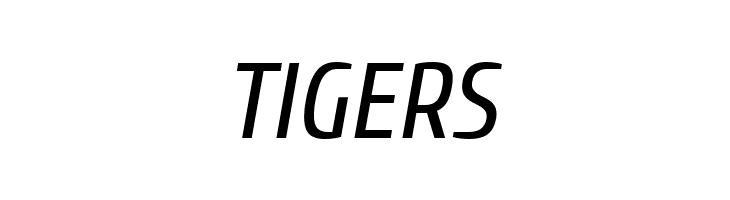 Cuprum Italic  Free Fonts Download