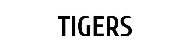 Cuprum Bold  Free Fonts Download