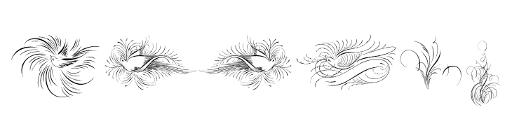 Penmanship Birds and Ornaments Free  Free Fonts Download