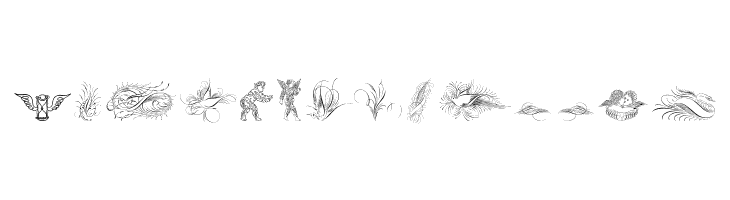 Penmanship Birds and Ornaments Free  Free Fonts Download