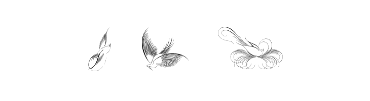 Penmanship Birds and Ornaments Free  Free Fonts Download