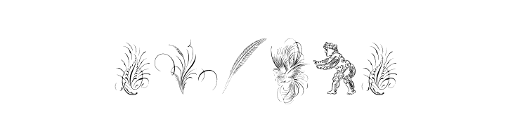 Penmanship Birds and Ornaments Free  Free Fonts Download