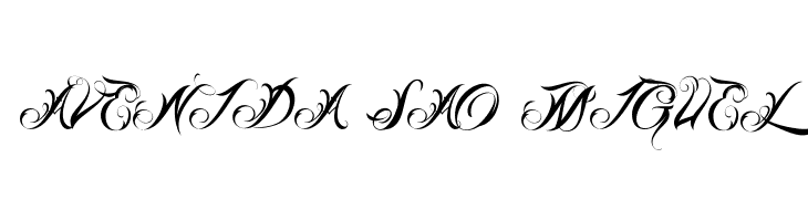 Lina Script Demo  Free Fonts Download