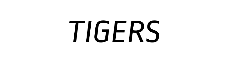 Ropa Sans Italic  Free Fonts Download