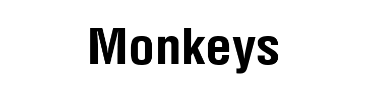 Ayar Kasone  Free Fonts Download