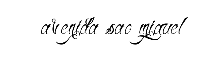 H74 Thunder Script  Free Fonts Download