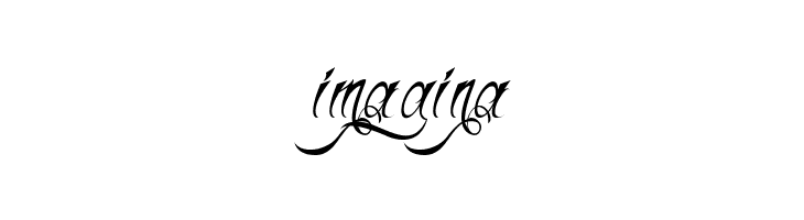 H74 Thunder Script  Free Fonts Download