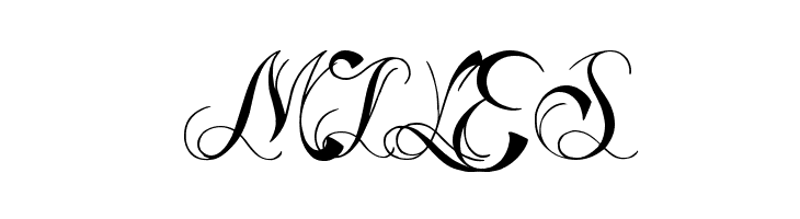 Ready Black  Free Fonts Download