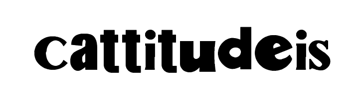 Salt Pet Non Eroded Bold  Free Fonts Download