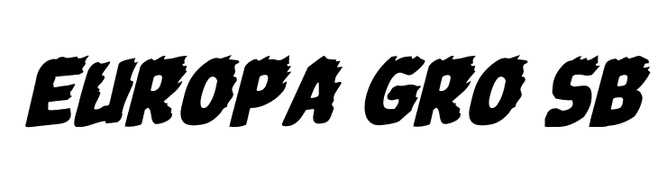 Johnny Torch Rotalic  Free Fonts Download