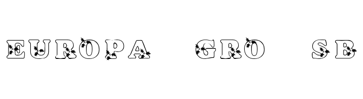 KR Holly  Free Fonts Download