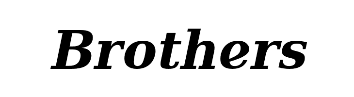 Verana-BoldItalic  Free Fonts Download