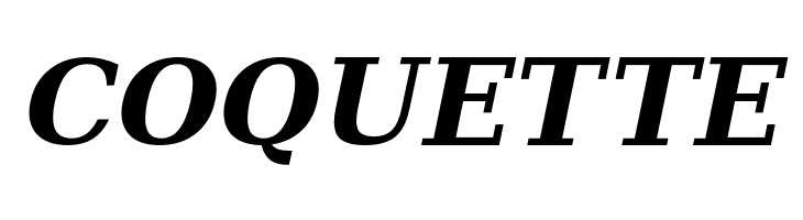 Verana-BoldItalic  Free Fonts Download