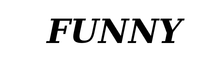 Verana-BoldItalic  Free Fonts Download