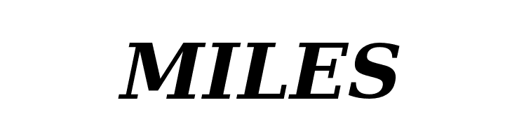 Verana-BoldItalic  Free Fonts Download