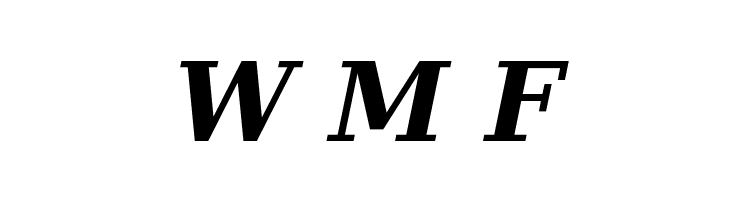 Verana-BoldItalic  Free Fonts Download