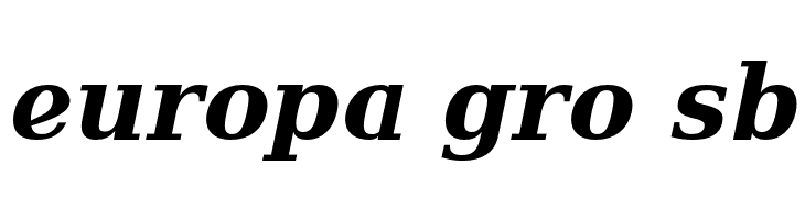 Verana-BoldItalic  Free Fonts Download