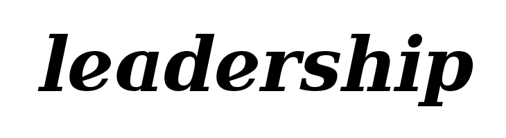 Verana-BoldItalic  Free Fonts Download