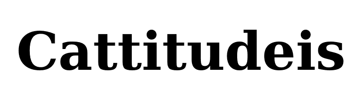 Verana-Bold  Free Fonts Download