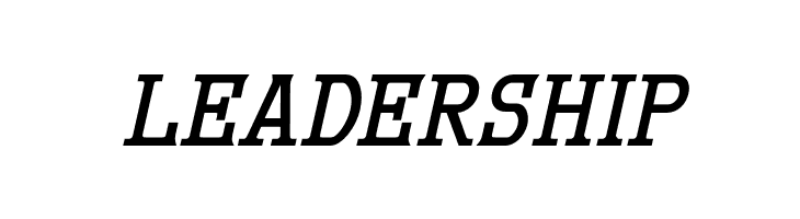 MekanusADFTitlingStd-BdItalic  Free Fonts Download