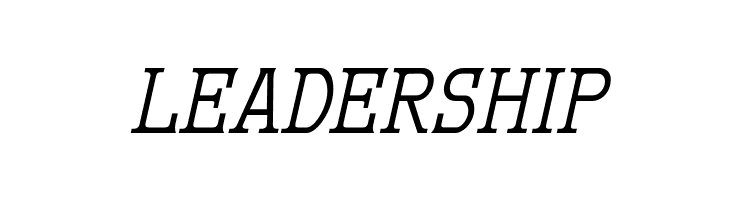 MekanusADFTitlingStd-Italic  Free Fonts Download