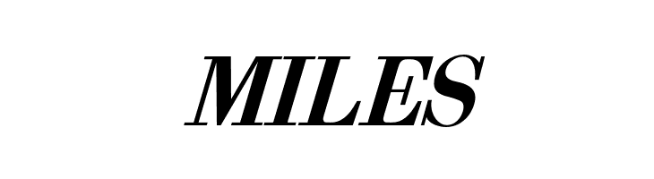 Berenis ADF Pro Bold Italic  Free Fonts Download