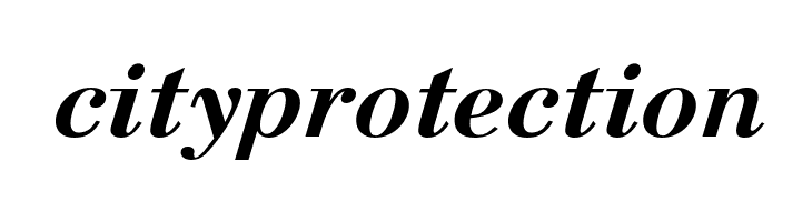 Berenis ADF Pro Bold Italic  Free Fonts Download