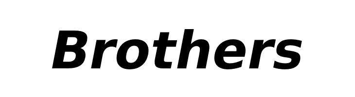 VeranaSans-BoldOblique  Free Fonts Download