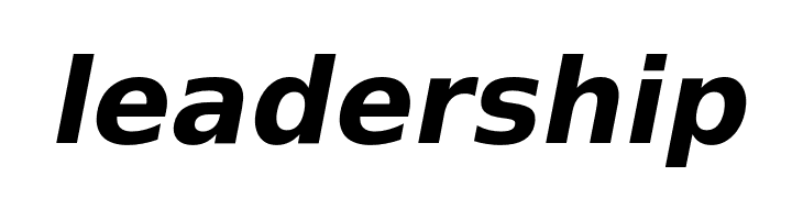 VeranaSans-BoldOblique  Free Fonts Download