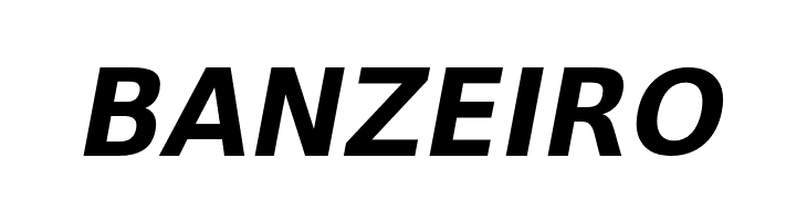 VeranaSansDemi-Oblique  Free Fonts Download