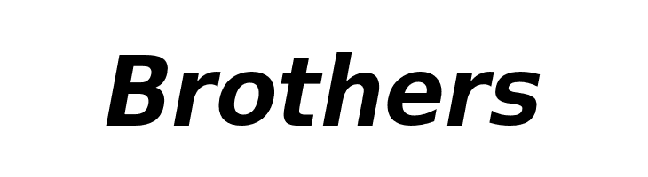 VeranaSansDemi-Oblique  Free Fonts Download