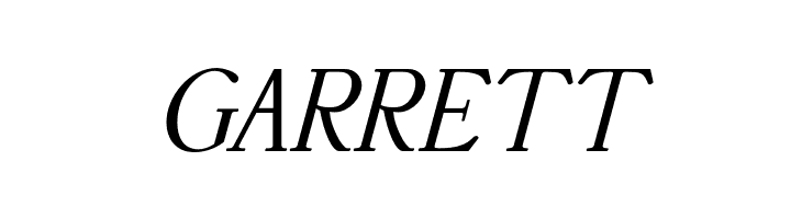 AccanthisADFStdNo2-Italic  Free Fonts Download