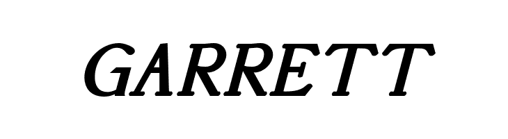 AccanthisADFStd-BoldItalic  Free Fonts Download