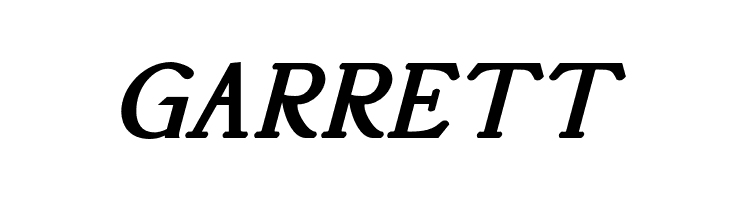 AccanthisADFStdNo3-BoldItalic  Free Fonts Download