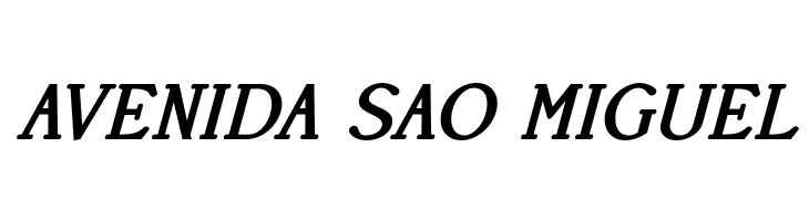 AccanthisADFStdNo2-BoldItalic  Free Fonts Download