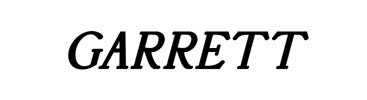 AccanthisADFStdNo2-BoldItalic  Free Fonts Download