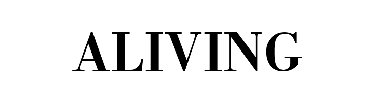 BodinSmall Bold  Free Fonts Download