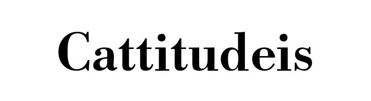 BodinSmall Bold  Free Fonts Download