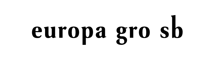 VenturisSansADFNo2Cd-Bold  Free Fonts Download