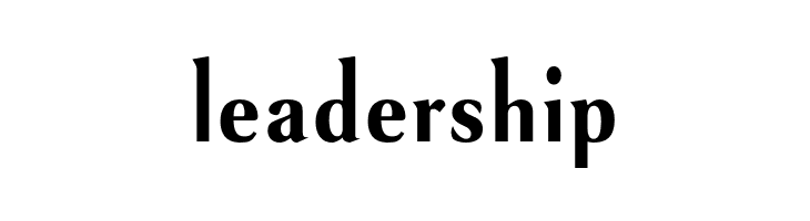 VenturisSansADFNo2Cd-Bold  Free Fonts Download