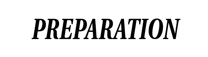 VenturisADFNo2Cd-BoldItalic  Free Fonts Download