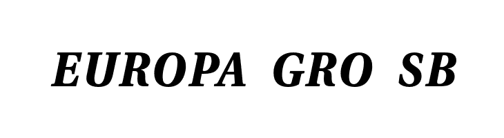 VenturisADFStyle-BoldItalic  Free Fonts Download