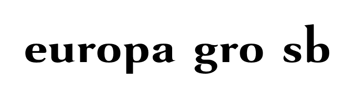 VenturisSansADFNo2Ex-Bold  Free Fonts Download