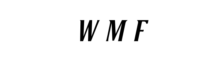 VenturisSansADFNo2Cd-BoldItal  Free Fonts Download