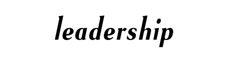 VenturisSansADFNo2Cd-BoldItal  Free Fonts Download