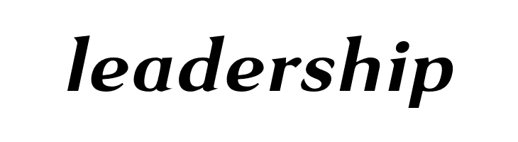 VenturisSansADFEx-BoldItalic  Free Fonts Download