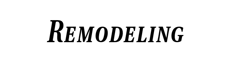 VenturisADFCdStyle-BoldItalic  Free Fonts Download