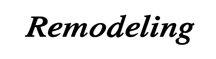 TribunADFStd-BoldItalic  Free Fonts Download